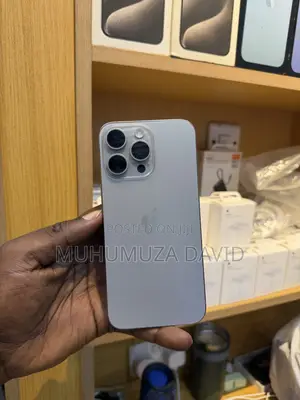 Apple iPhone 15 Pro Max 256 GB Gray