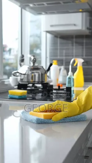 Deep Kitchen Cleaning - Degrease Cabinets, Tiles, Hood Sink
