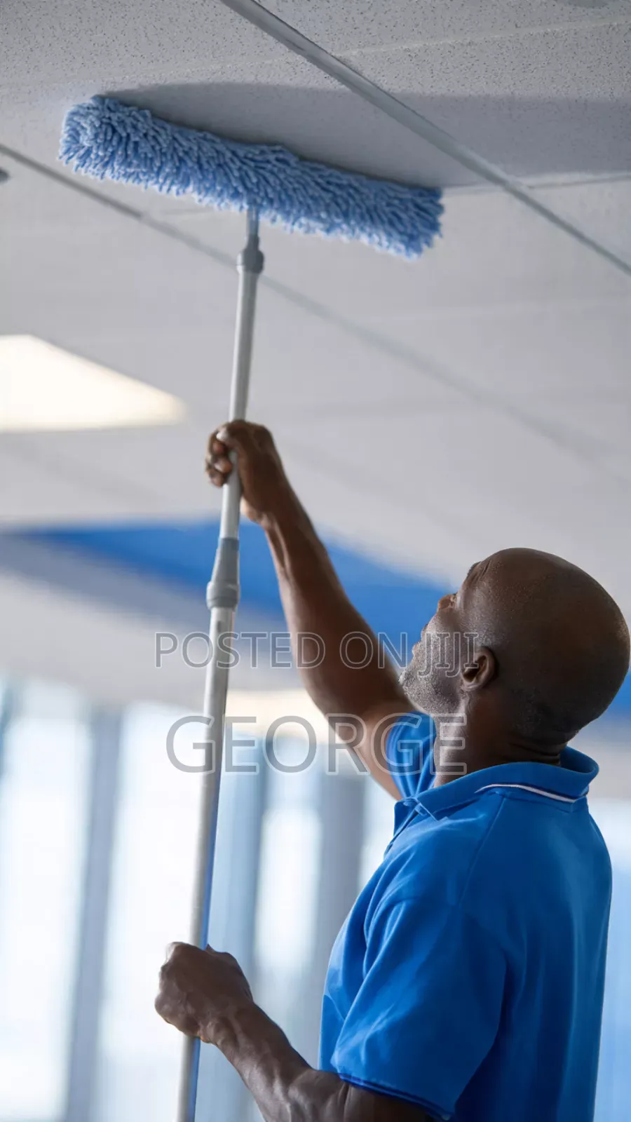 Cobweb Removal High Dusting - Ceilings, Corners, Fans for Offices