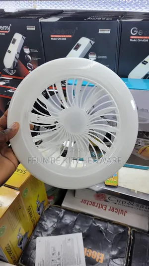 Multi-Functional Fan Light