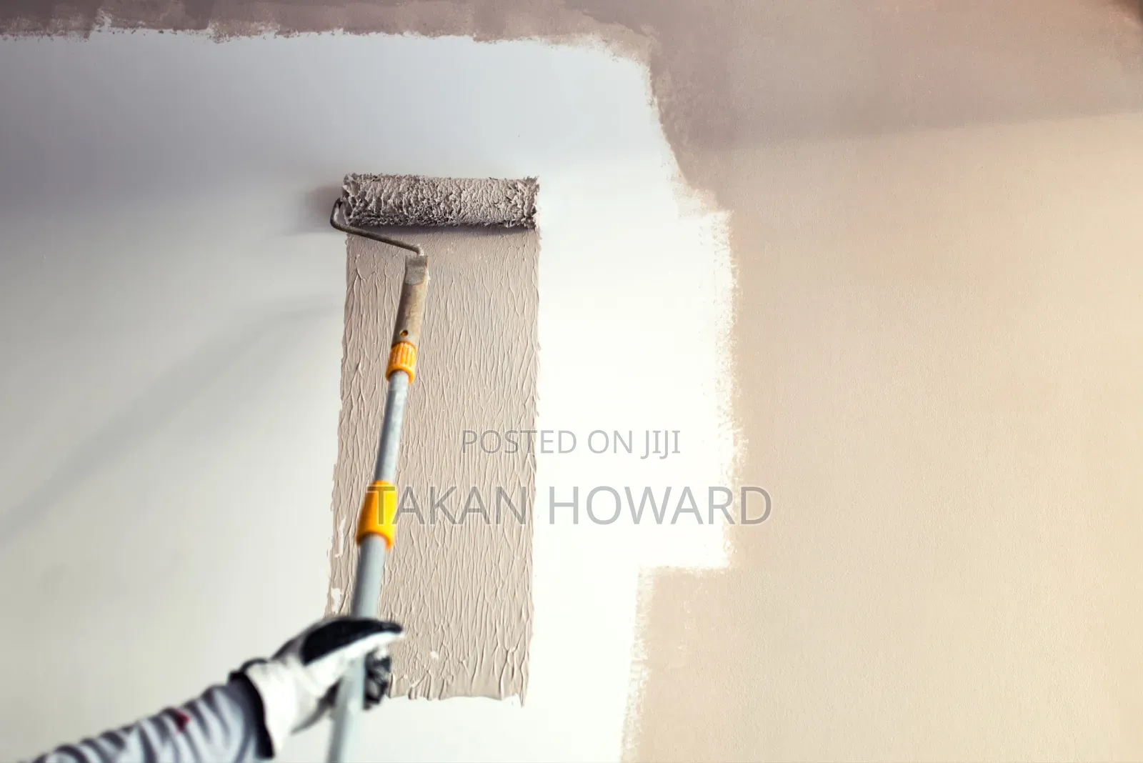 Painting and Renovation Services