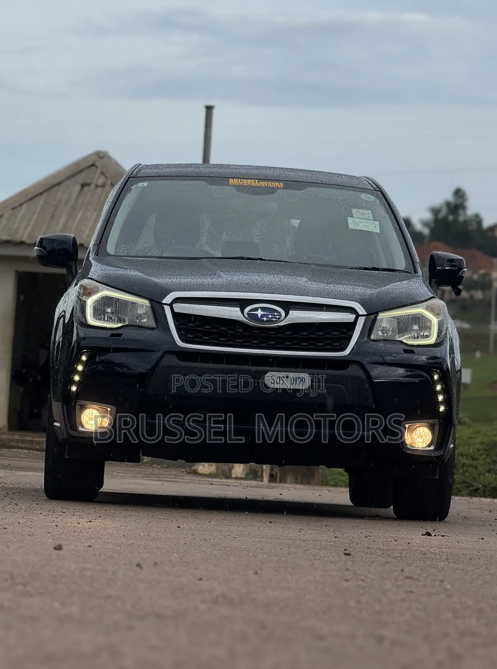 Subaru Forester 2.5i Premium PZEV 4dr SUV AWD (2.5L 4cyl 6M) 2015 Blue