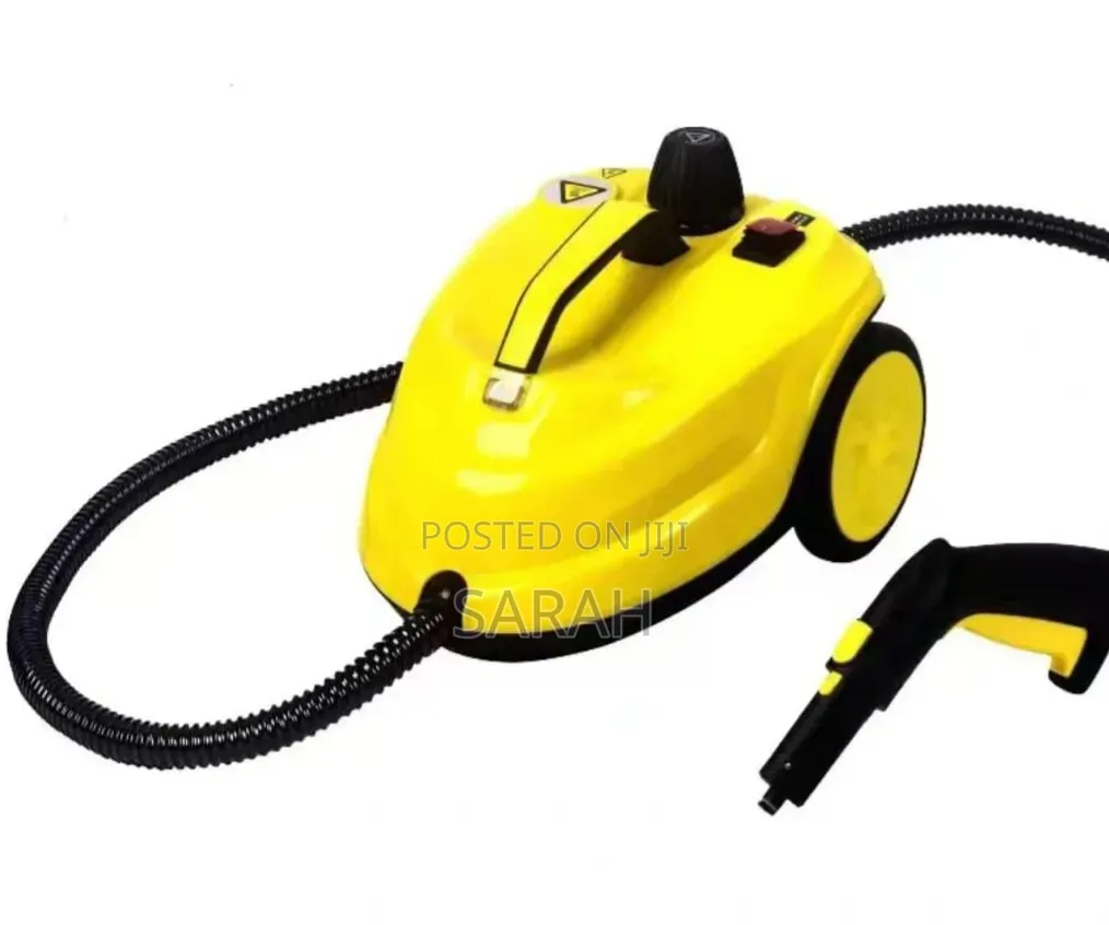 Portable Steam Cleaner