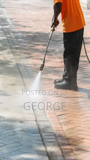 Paver Cleaning Restoration - Remove Moss, Weeds Stains