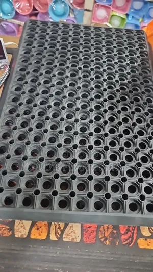Black Entrance Outdoor Indoor Doormats