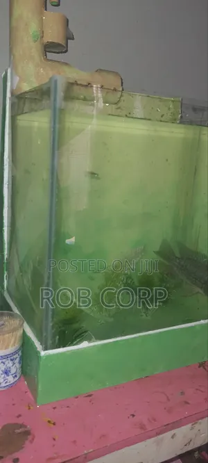 Aquarium With Fish