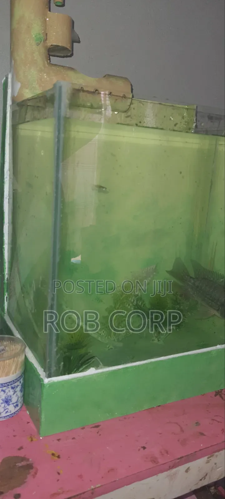 Aquarium With Fish