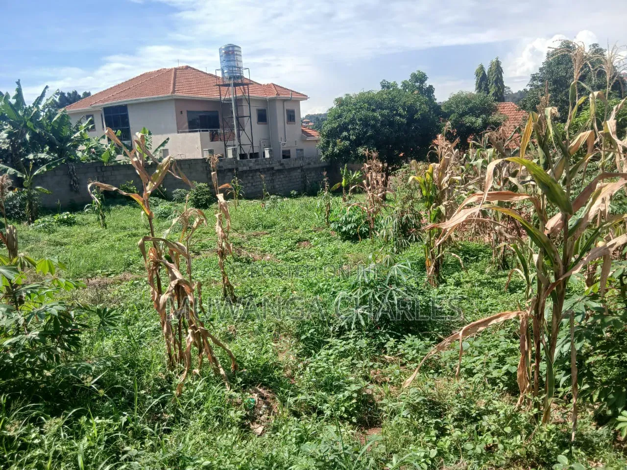 15decimals for Sale in Bukoto