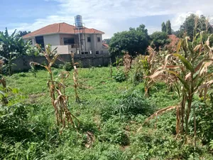 15decimals for Sale in Bukoto
