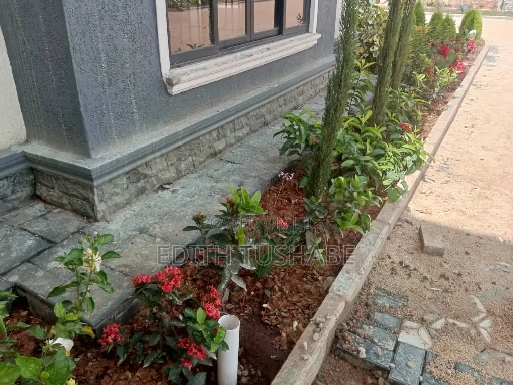 Compound Designing