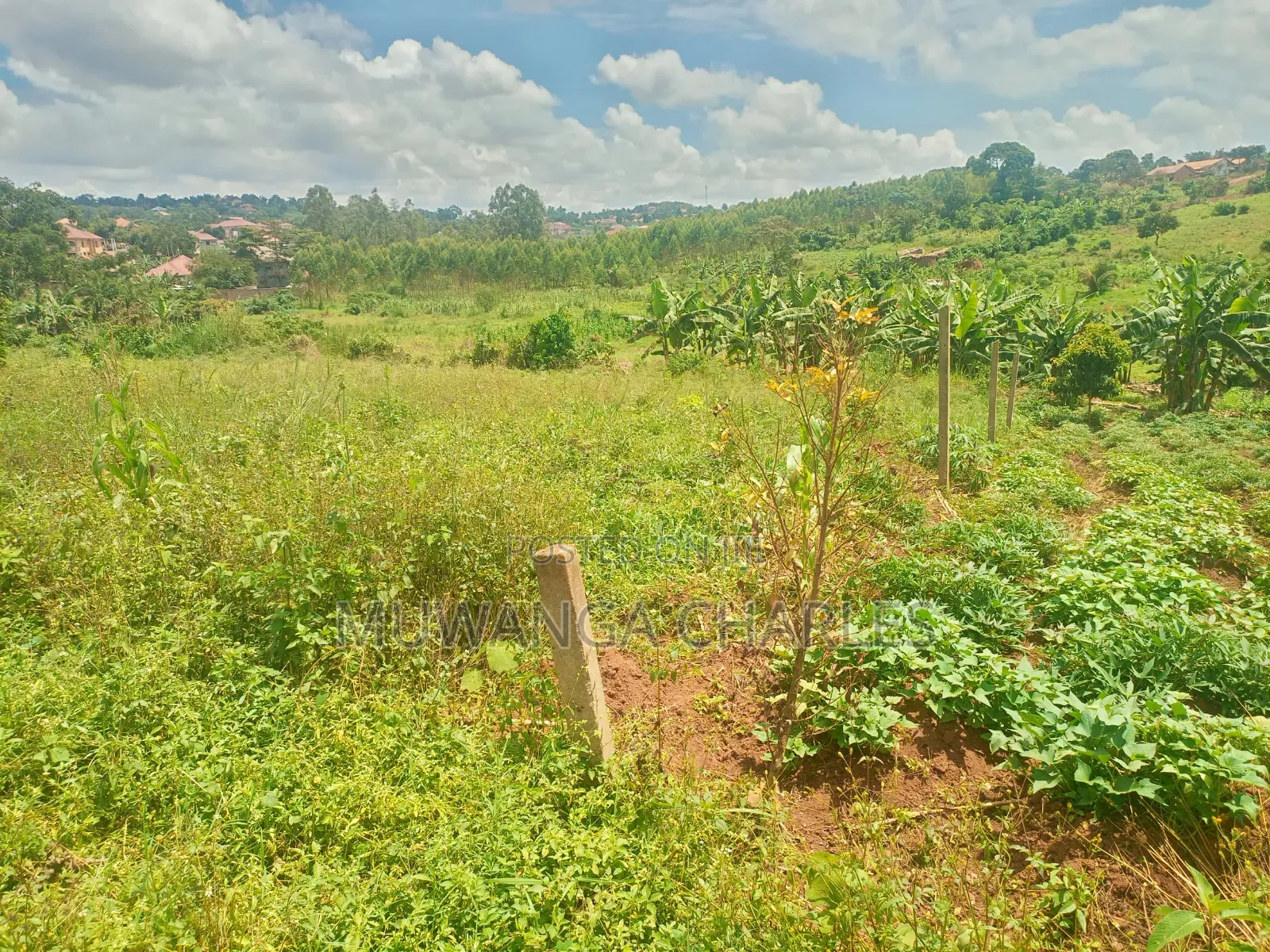 Plots on Sale in Kiwenda Kasawe