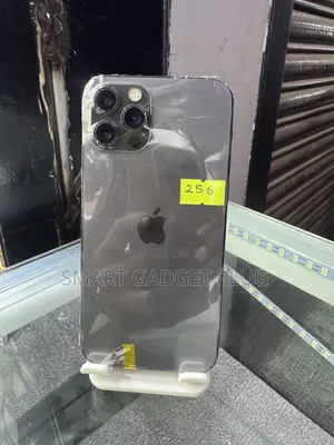 Apple iPhone 12 Pro Max 256 GB Black