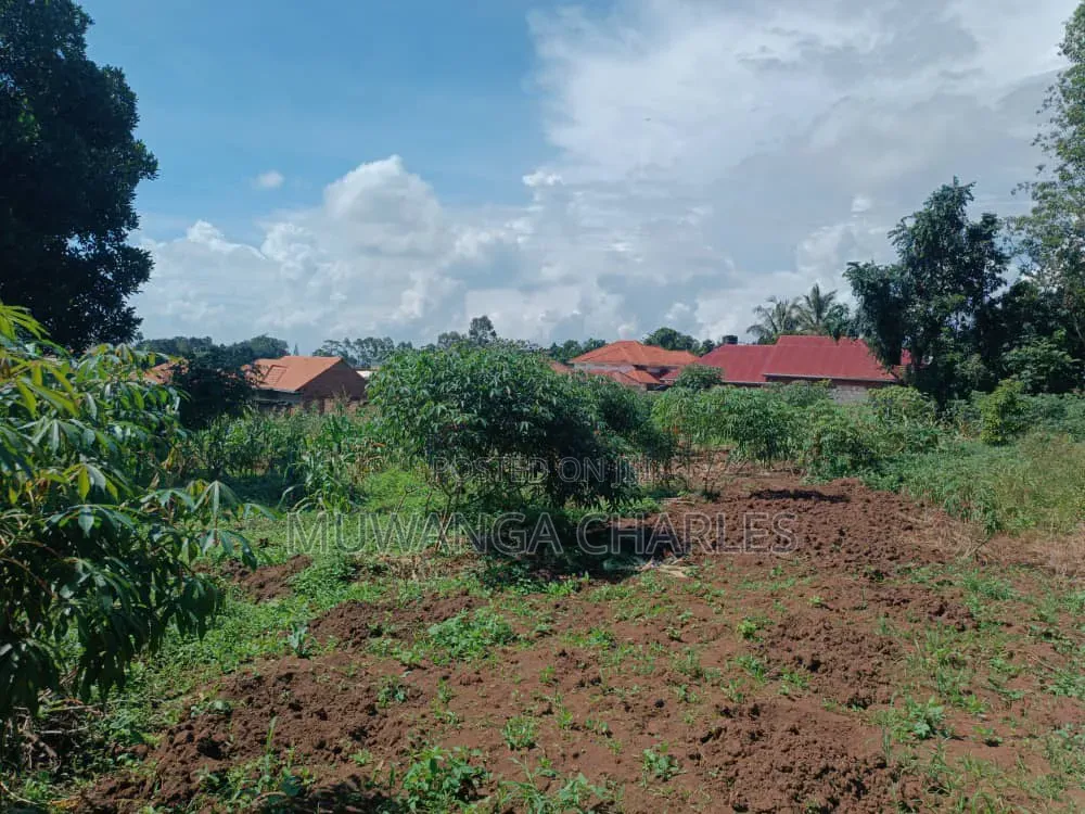 Plots on Sale in Buwate