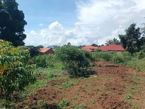 Plots on Sale in Buwate