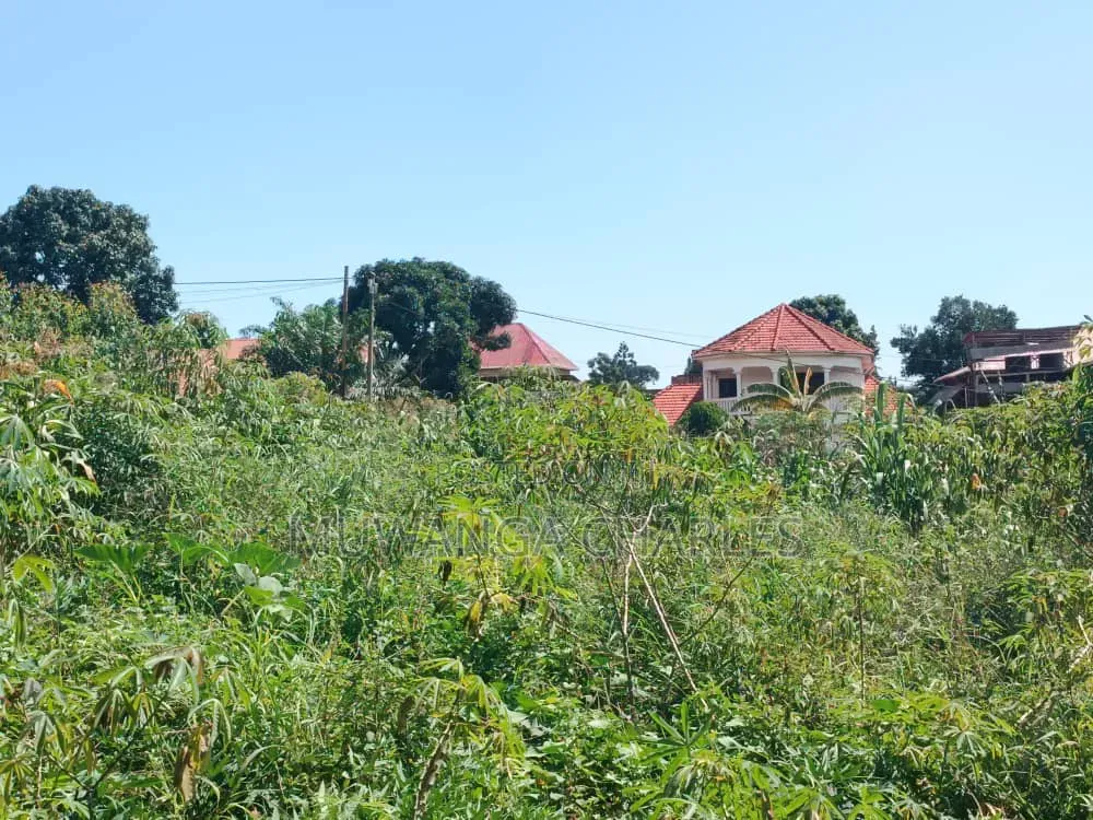 Plots on Sale in Buwate