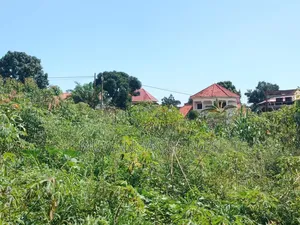 Plots on Sale in Buwate