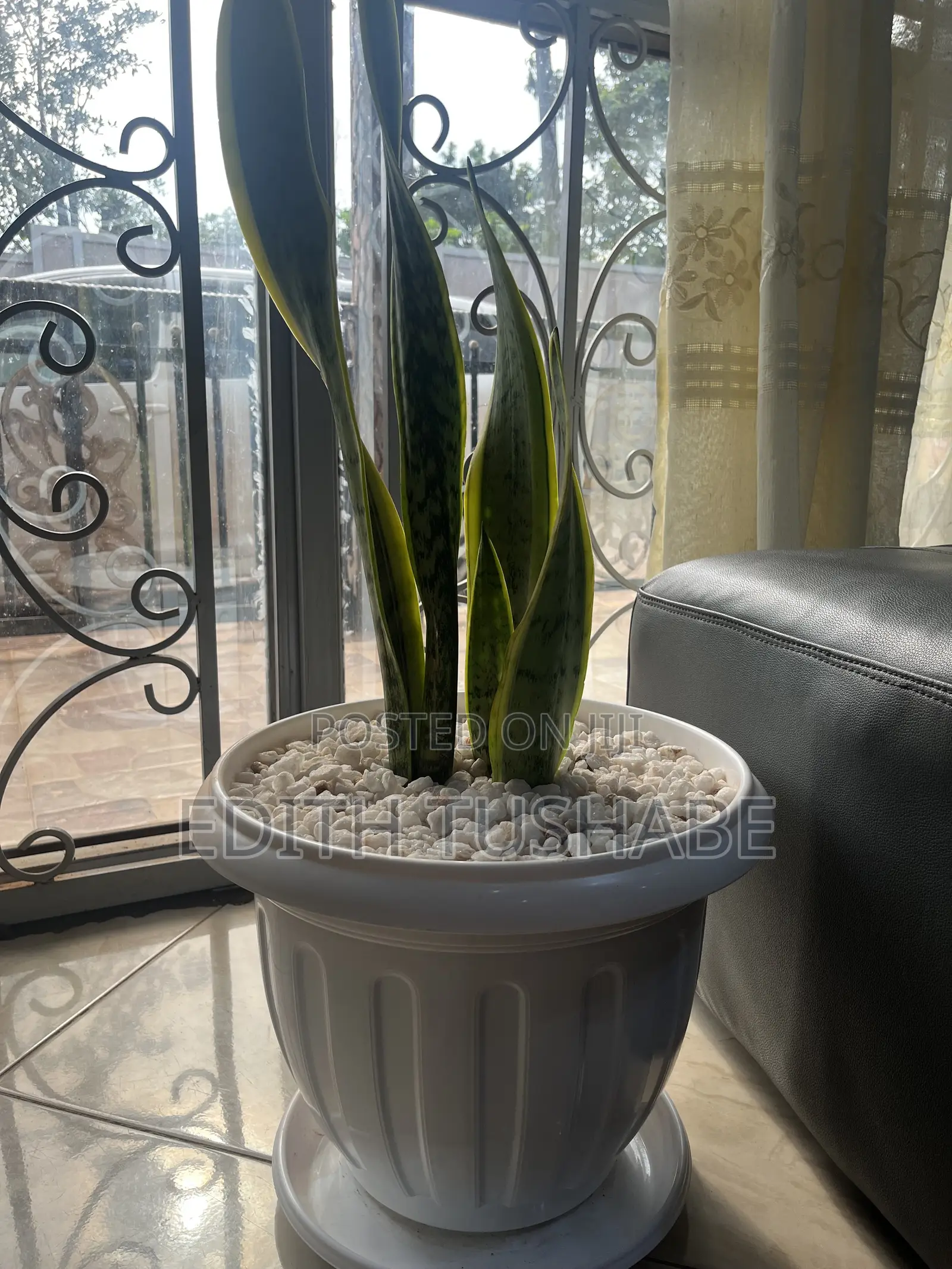 Home /Office Space Decoration