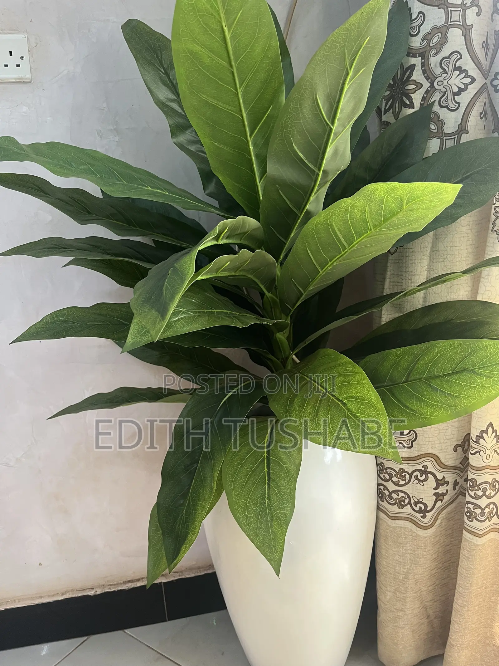 Home /Office Space Decoration
