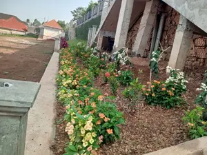 Compound Designing