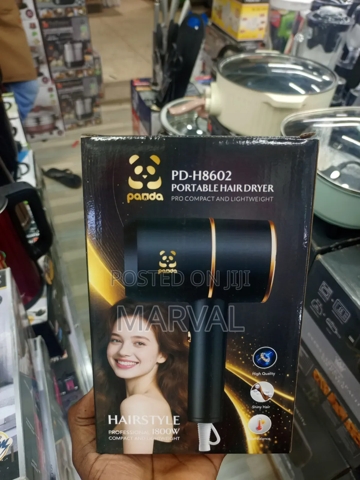 Panda Pd-H8602 Portable Hair Dryer