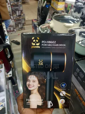 Panda Pd-H8602 Portable Hair Dryer
