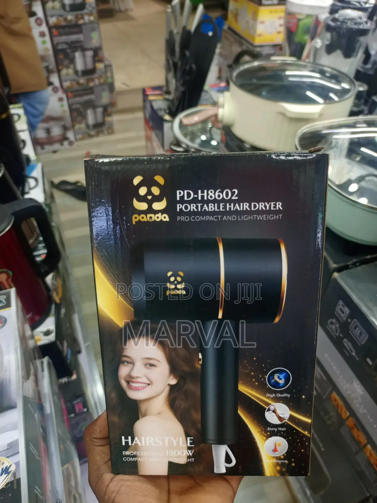 Panda Pd-H8602 Portable Hair Dryer