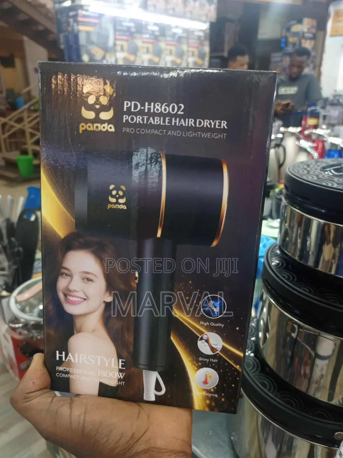 Panda Pd-H8602 Portable Hair Dryer