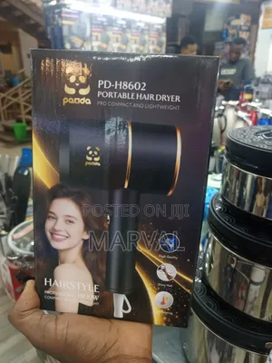 Panda Pd-H8602 Portable Hair Dryer