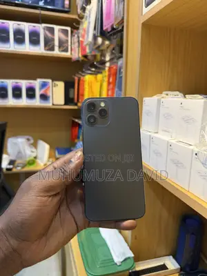 Apple iPhone 12 Pro Max 256 GB Black
