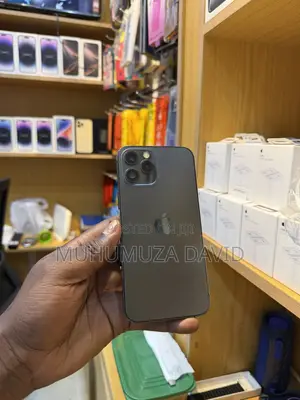 Apple iPhone 12 Pro Max 256 GB Black