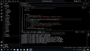 Website and Software Development
