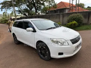 Toyota Corolla Fielder 2009 White