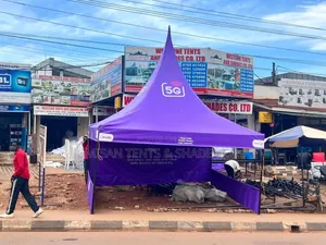 3*3m Purple Tent