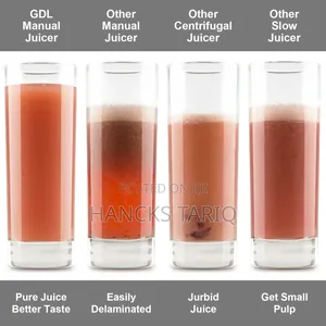 Manual Hand-Crank Fruit Vegetable Juicer