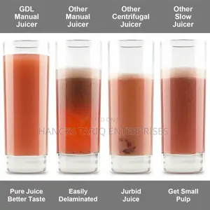 Manual Hand-Crank Fruit Vegetable Juicer