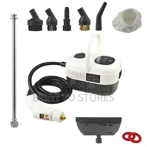 High-Pressure Portable Steam Cleaner