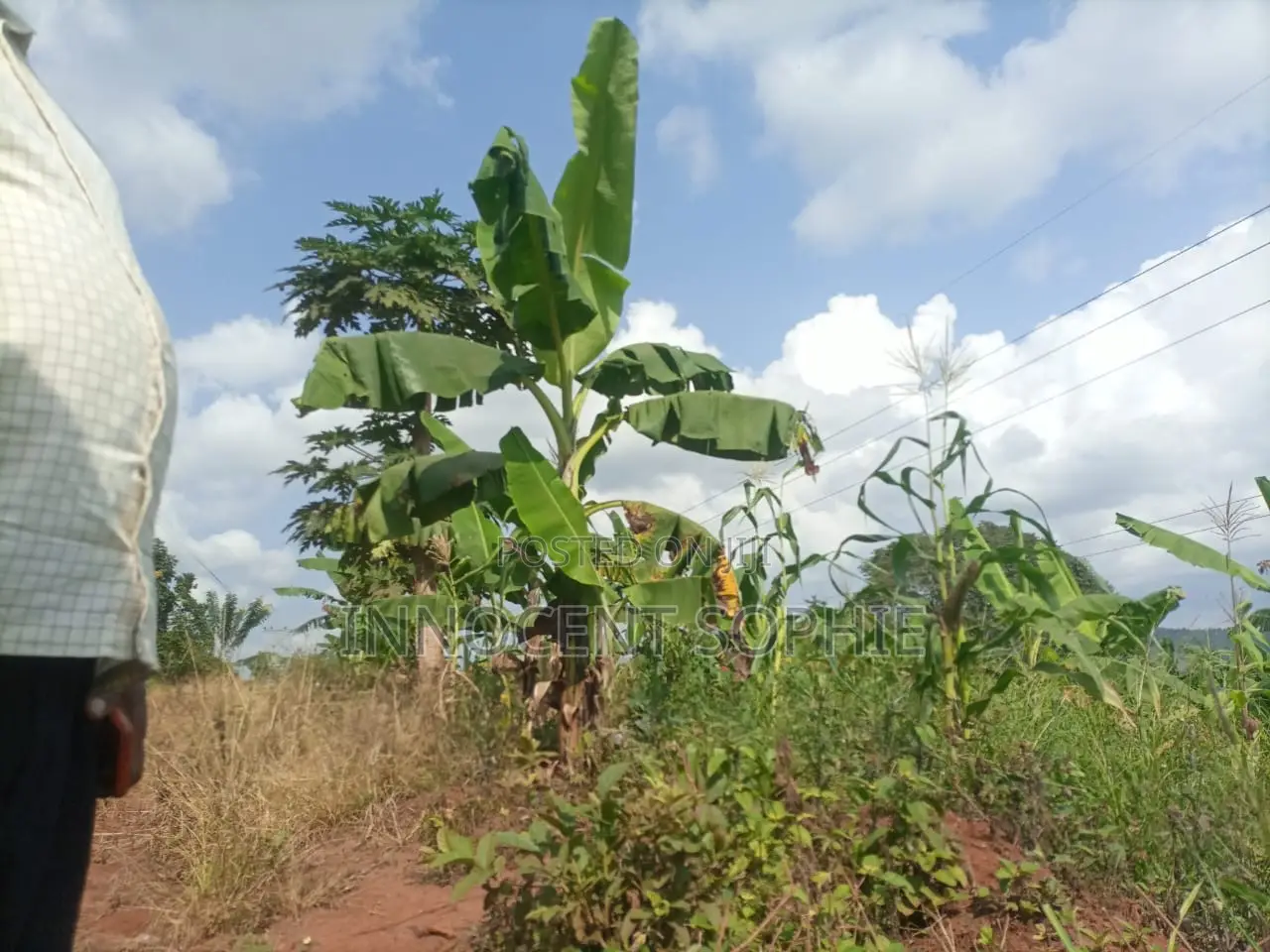 Land In Mbalala Jomayi Estate At The Hill Top