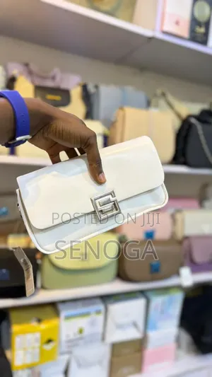 Ladies Hand Bag