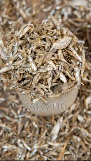 Mukene/Silver Fish