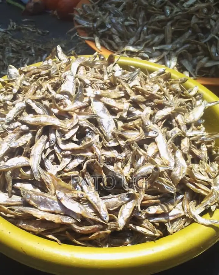 Mukene/Silver Fish