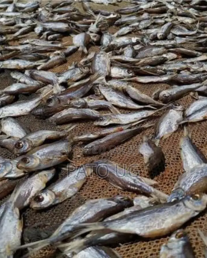 Mukene/Silver Fish