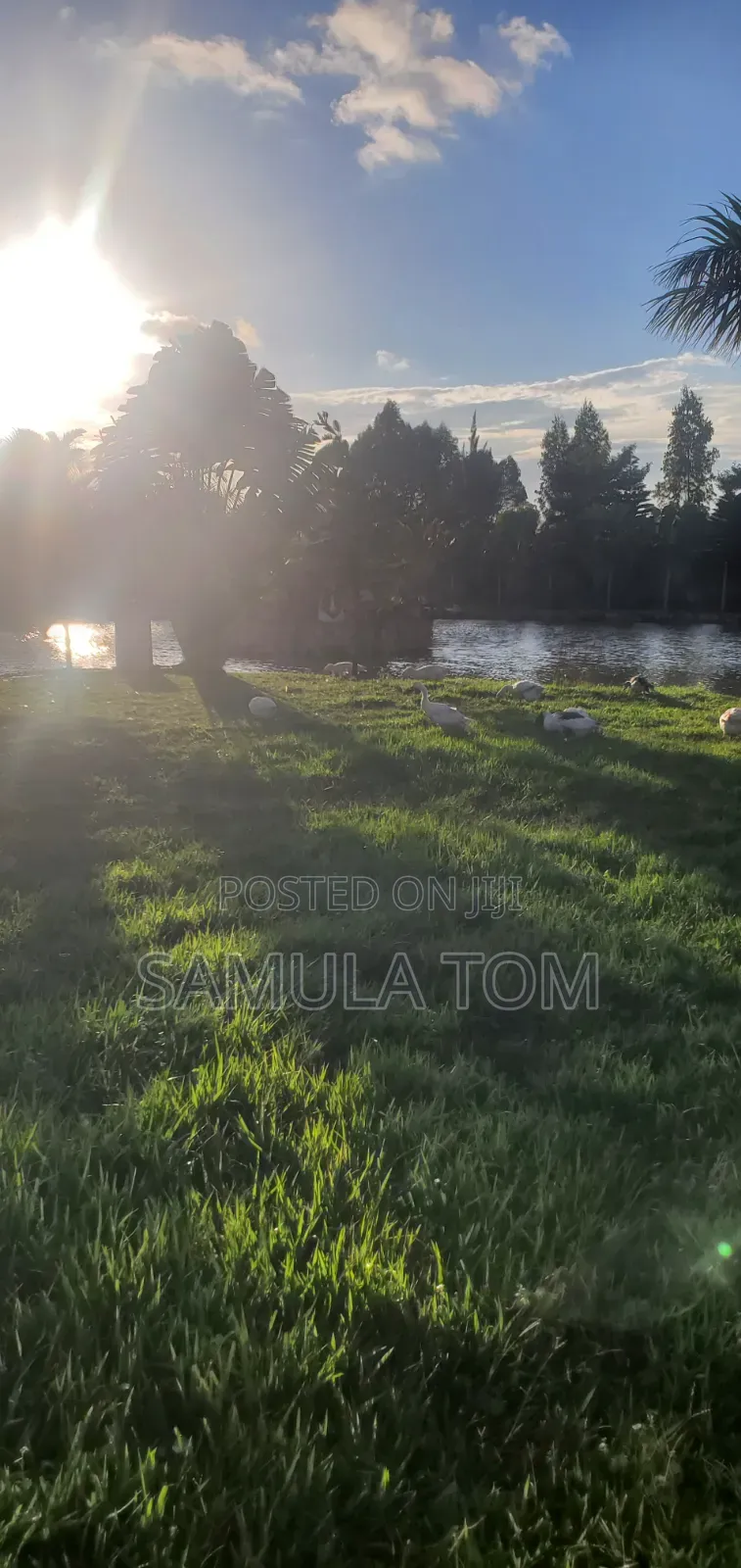 Land for Sell Located at Mutundwe