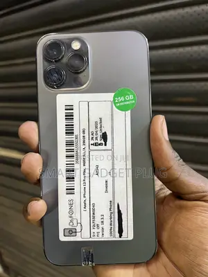 Apple iPhone 12 Pro Max 256 GB Black