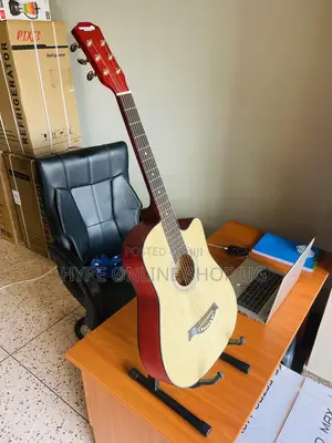 Brandnew Dream Maker Medium Acoustic Guitar