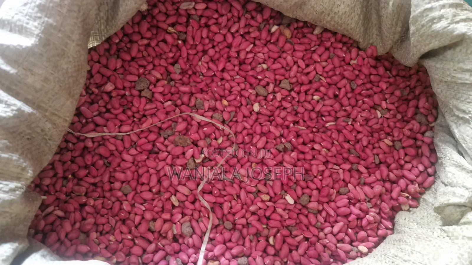 Busoga Gnuts