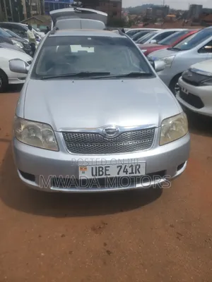 Toyota Corolla Fielder 2010 Silver