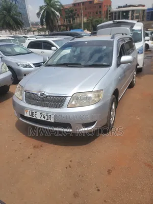 Toyota Corolla Fielder 2010 Silver