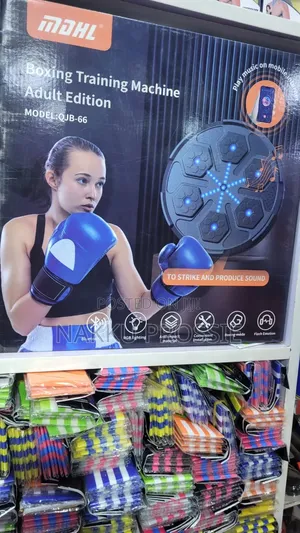 Boxing Training Machine