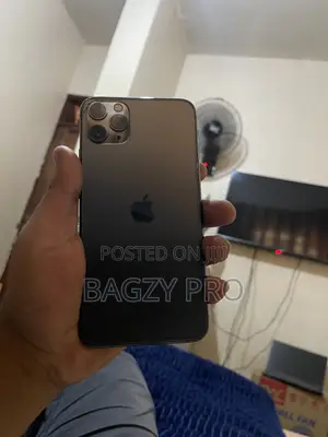 Apple iPhone 11 Pro Max 256 GB Gray