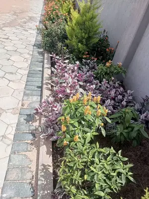Compound Designing